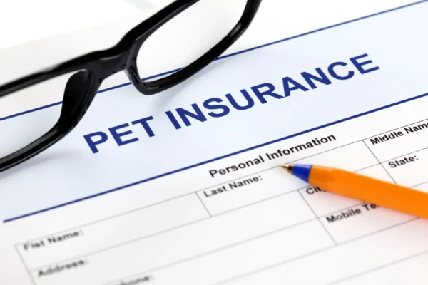PET INSURANCE GUIDANCE